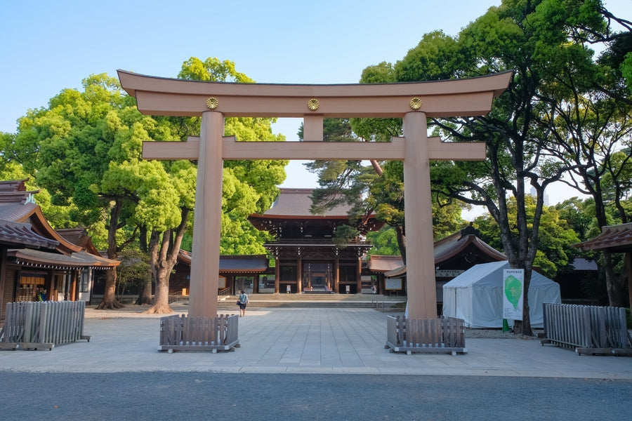 東京の神社結婚式|候補別の公式確認先と問い合わせ準備ガイド