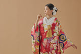 花の丸に花菱亀甲七宝