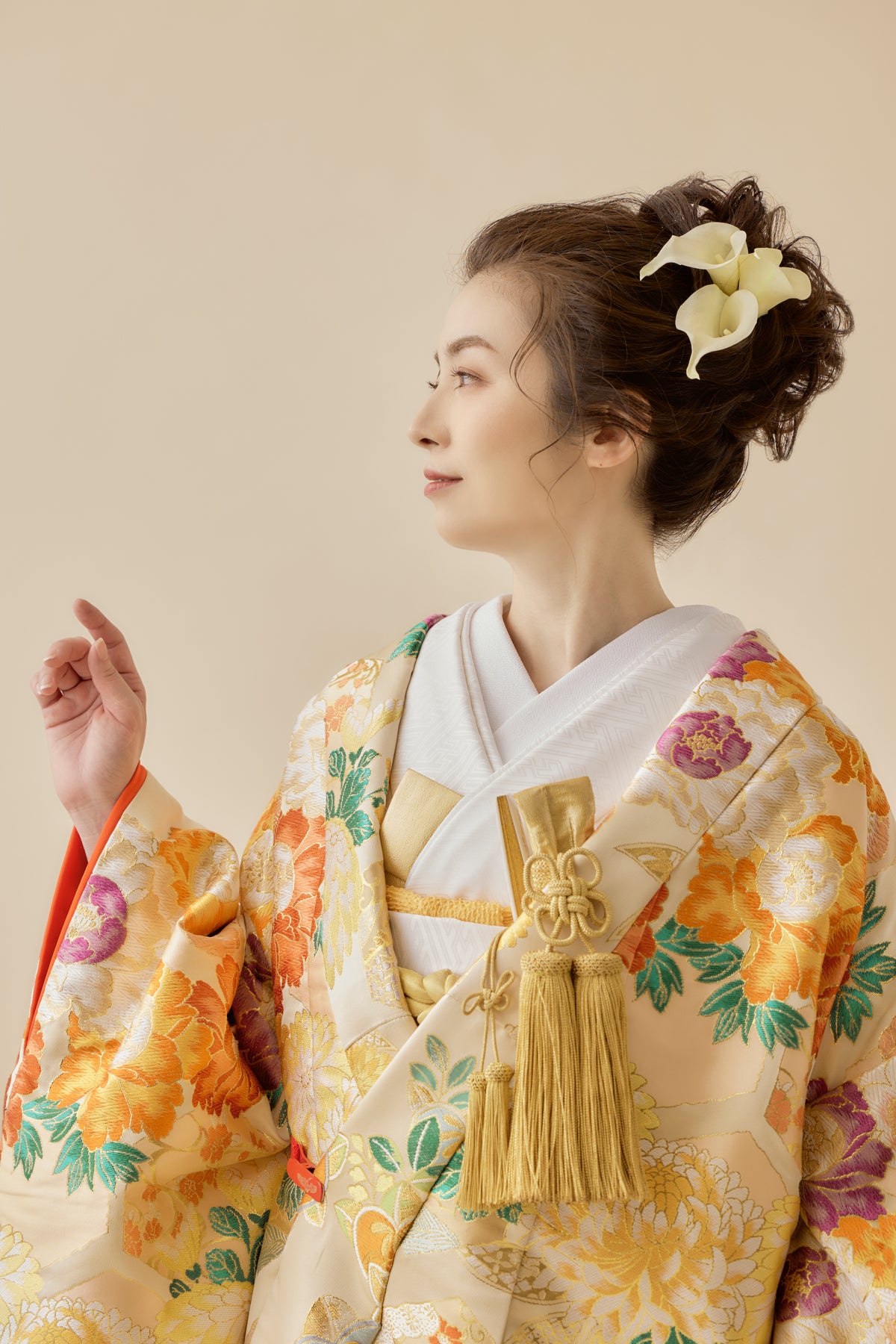 色打掛 赤色 鶴 太陽 刺繍 豪華絢爛 情熱 花嫁 結婚式 日本 m-3487