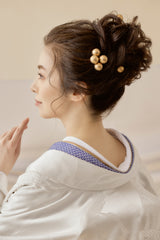 鶴尽くし