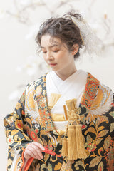 鳳凰古代鏡文