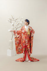祝い花に鶴・色打掛のレンタル着物