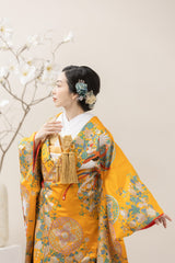 鳳凰忍冬唐草文・色打掛のレンタル着物